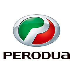 Шини для Perodua