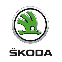 Диски на Skoda